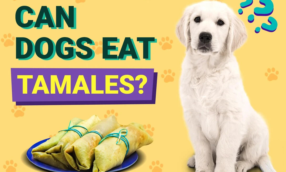 Can Dogs Eat Tamales