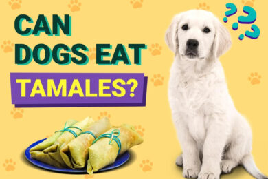 Can Dogs Eat Tamales