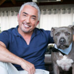 cesar millan net worth