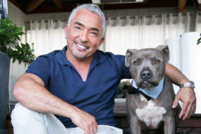 cesar millan net worth