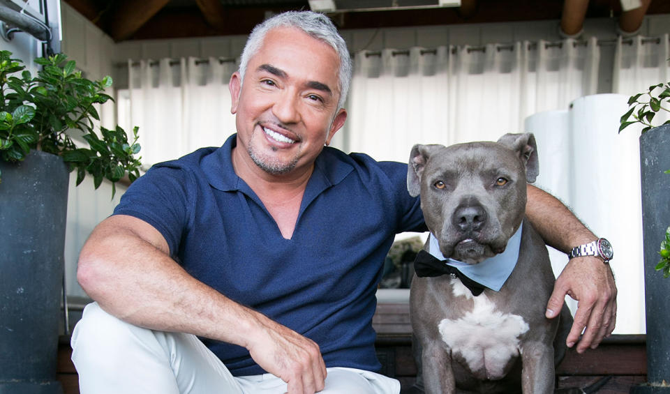 cesar millan net worth