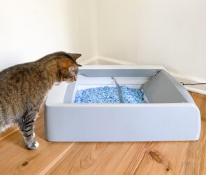 The 11 Best Automatic Litter Boxes, Tested and Reviewed